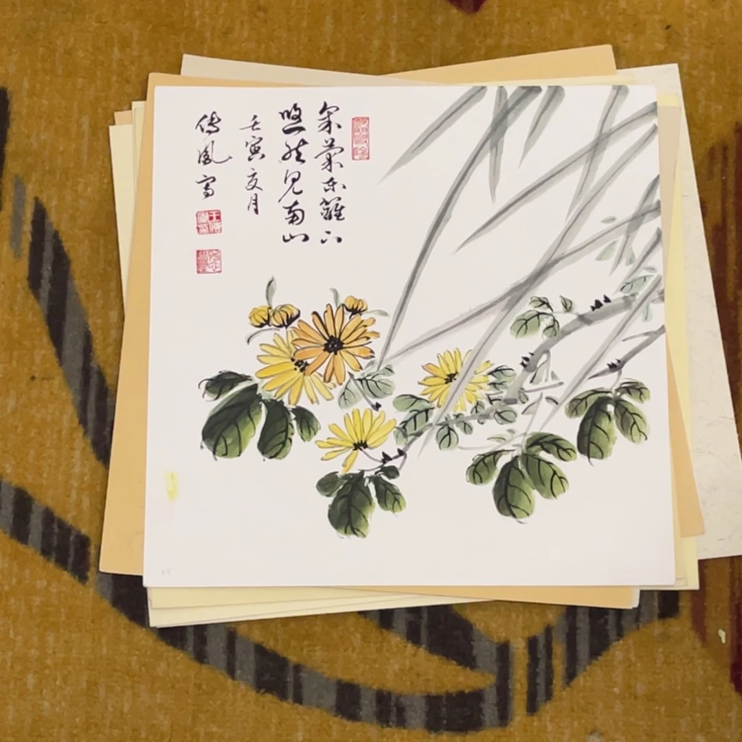 国画文*浩福利卡纸9999999999999