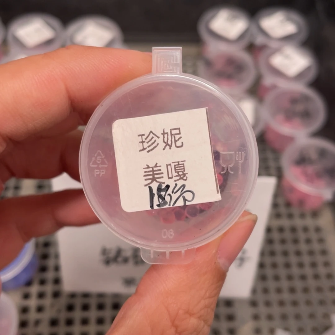 珍妮✖️美嘎20粒，新品推荐