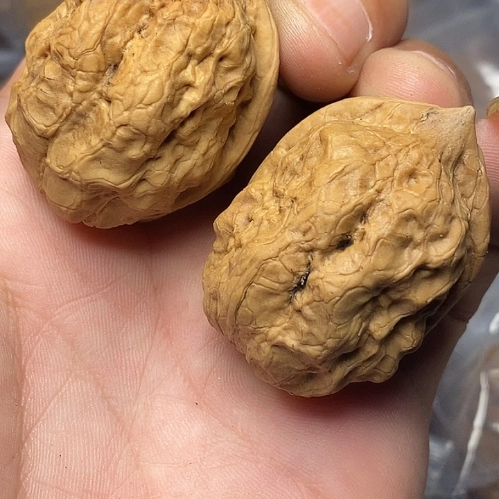 文玩核桃把件云南铁核桃96