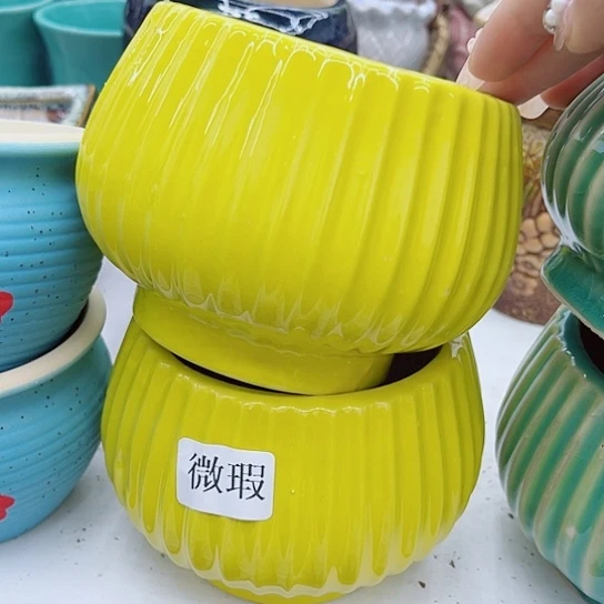 多肉绿植陶瓷花盆9.9包邮，有空