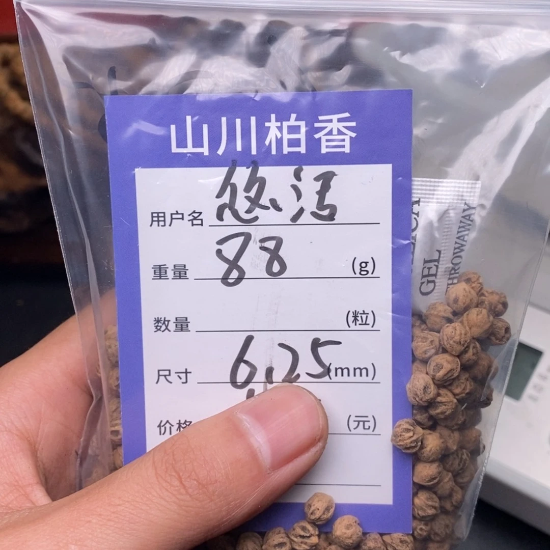 柏香籽/百香籽吊坠悠*