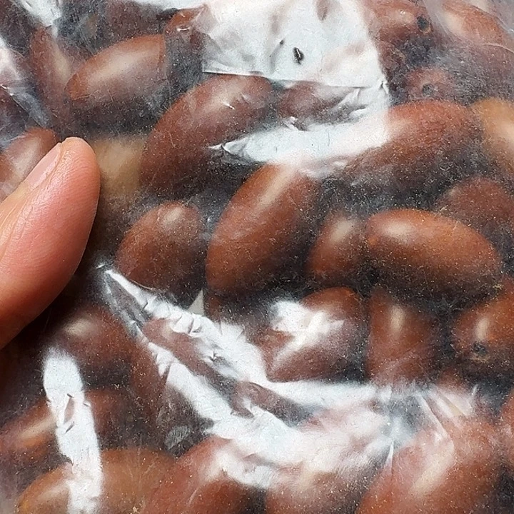 橄榄核吊坠我是你
