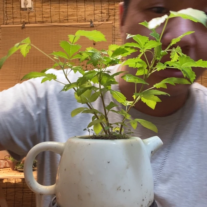 一物一拍所见即所得362