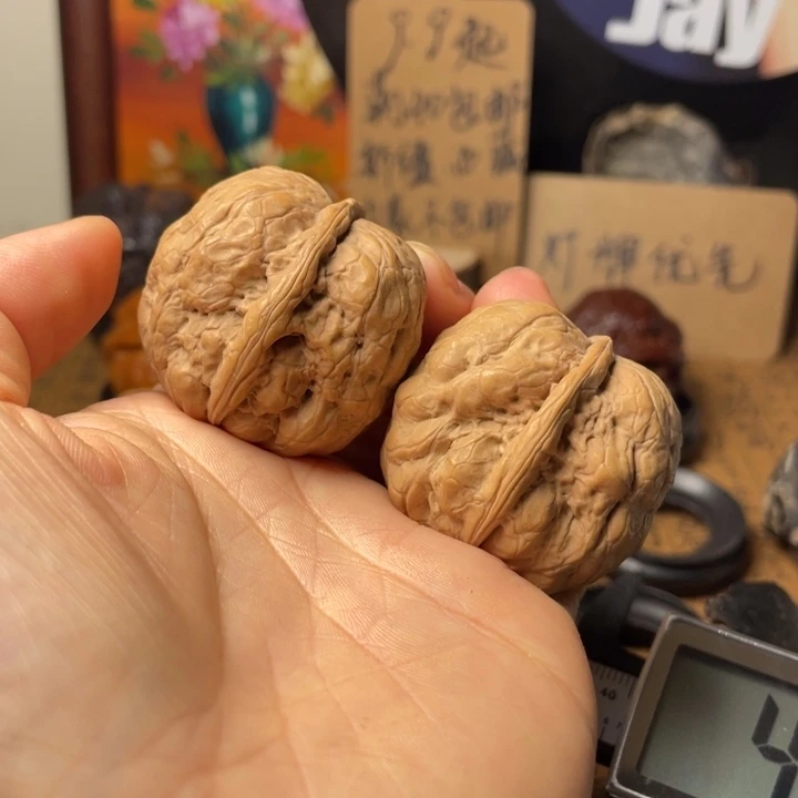 达*云南铁核桃默认微瑕110