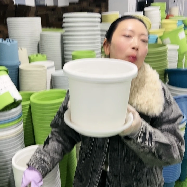 特价3号四季口21高18果绿10只带托