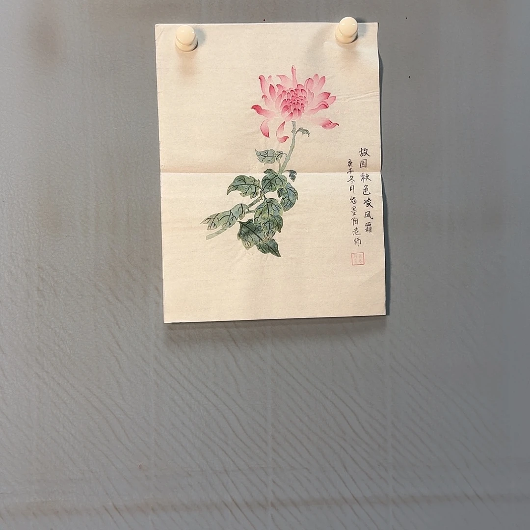 国画682 牡丹一如您的脸颊