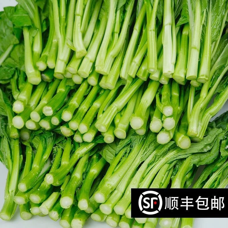 【顺丰包邮】新鲜广东菜心菜花当季油菜心鲜嫩清甜菜苔青菜油麦菜