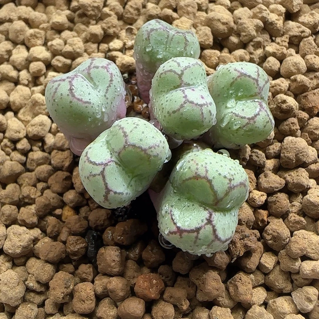 哈哈哈哈哈哈哈50302