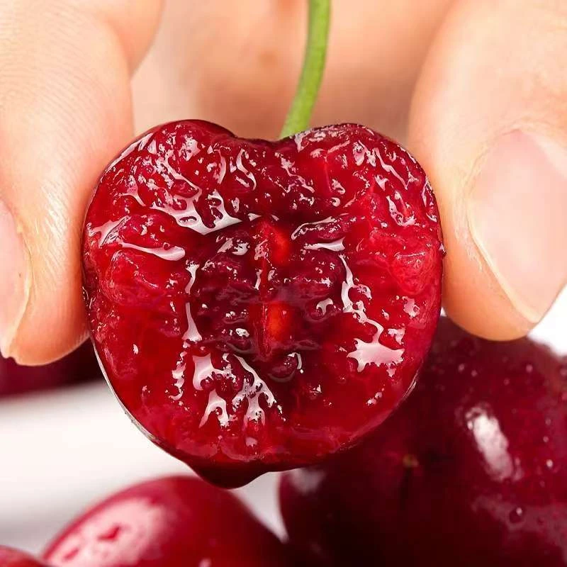 【买5送5】J-4JD智利进口海运桑提娜车厘子新鲜应季水果内附果径卡M