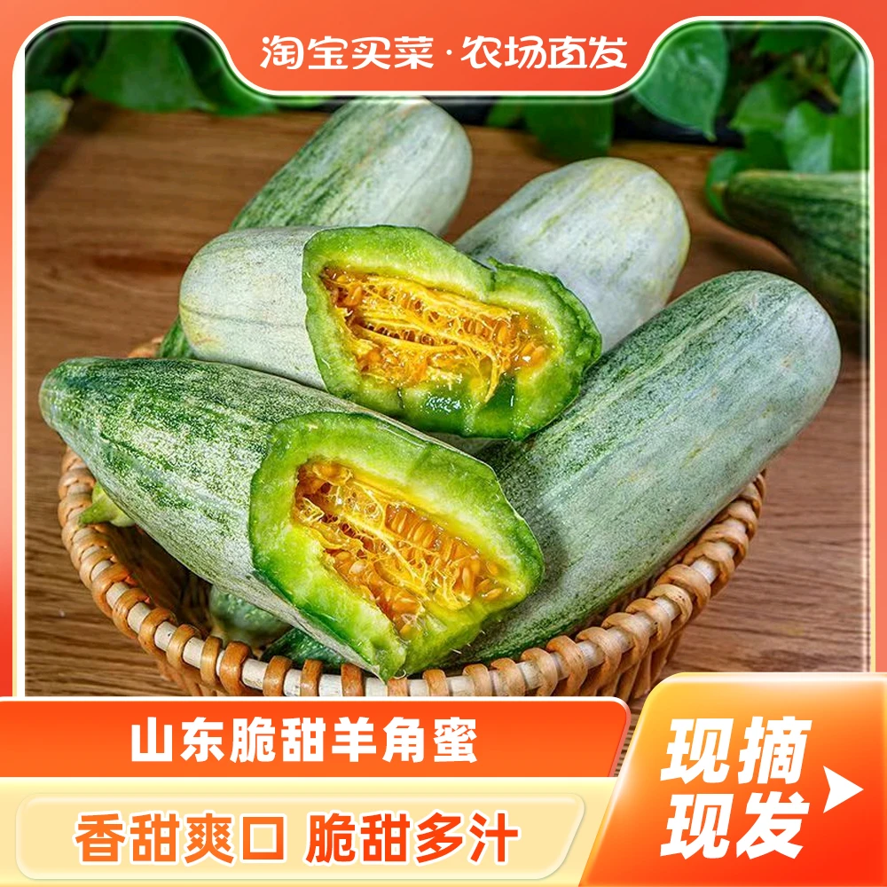 忆陇甜正宗山东特级基地直发脆甜羊角蜜新鲜水果净重 5 斤