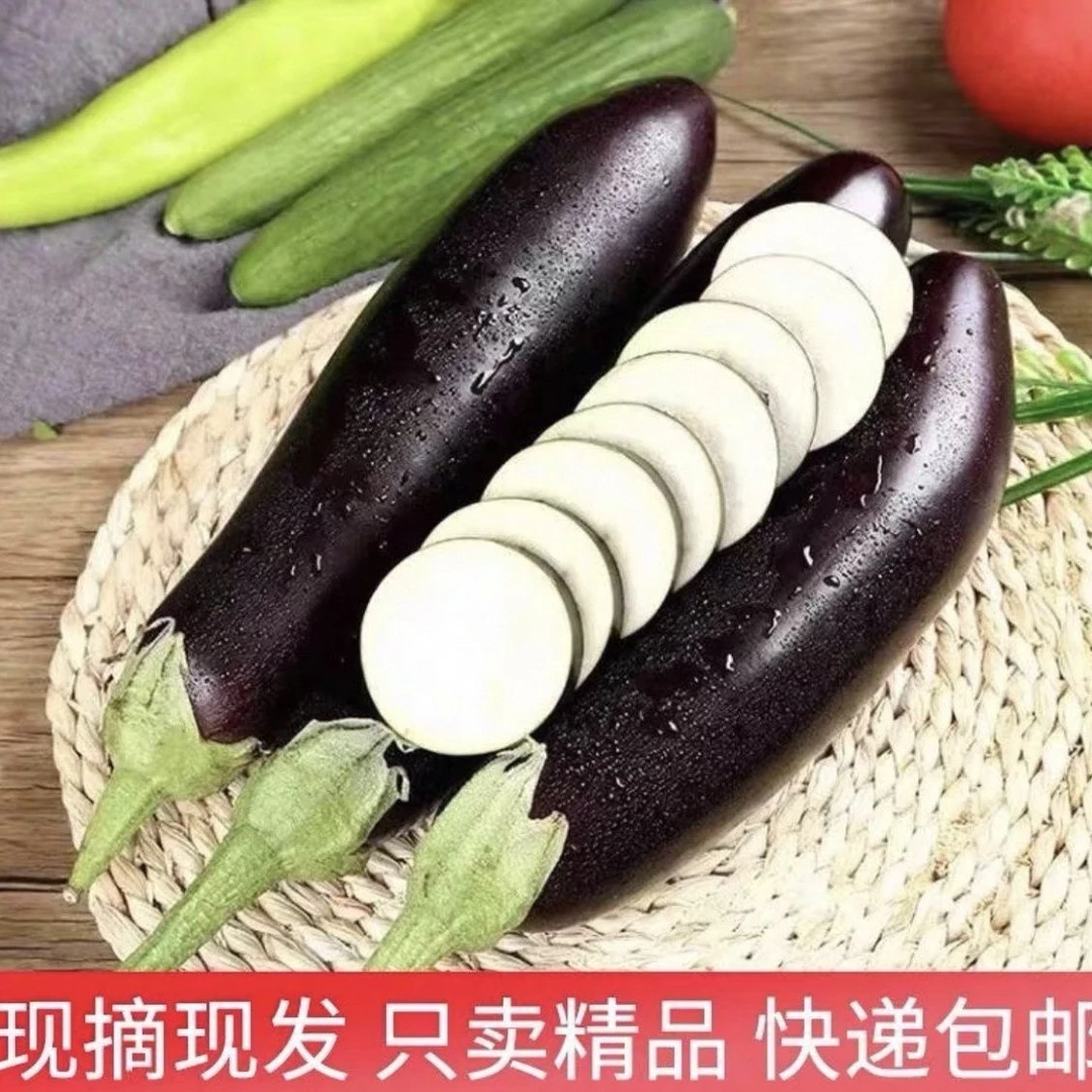 精品茄王 嘎嘎新鲜500g