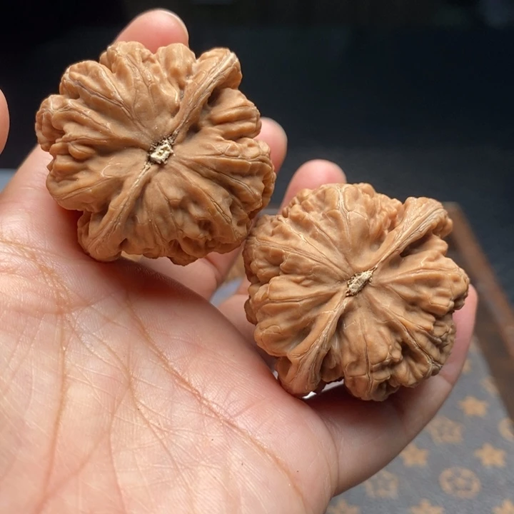 把件文玩核桃粗筋43尺