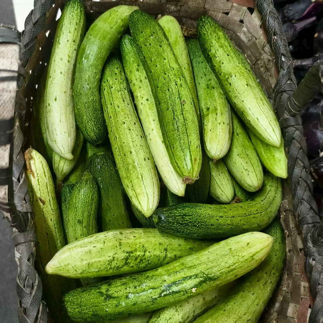 【彬彬专属】【顺丰包邮】新鲜带刺旱黄瓜清香可口3斤