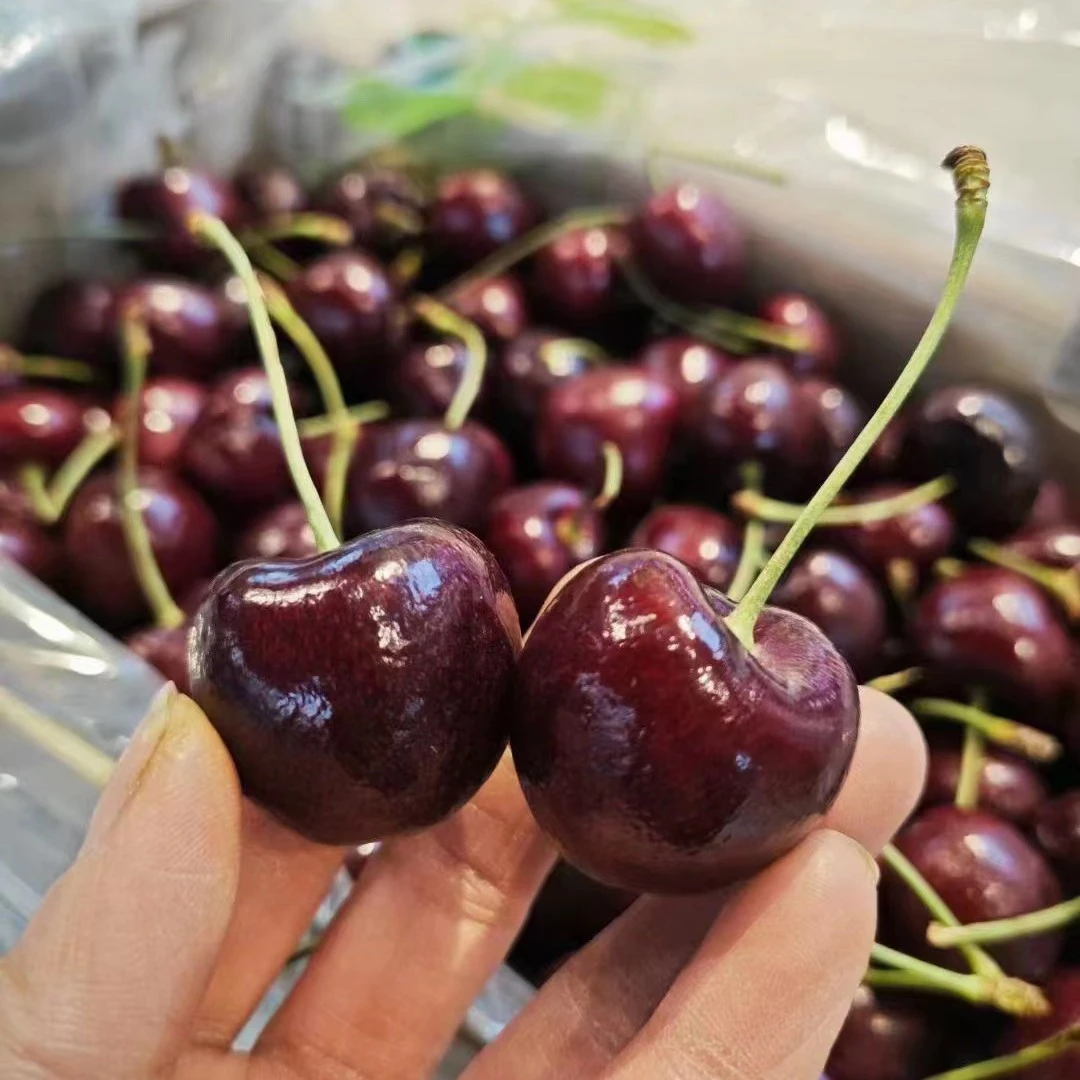 （汉源车厘子L）1斤汉源