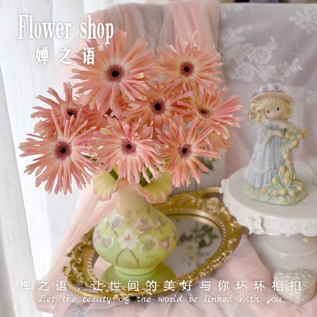婵之语优选    布拉格太阳花