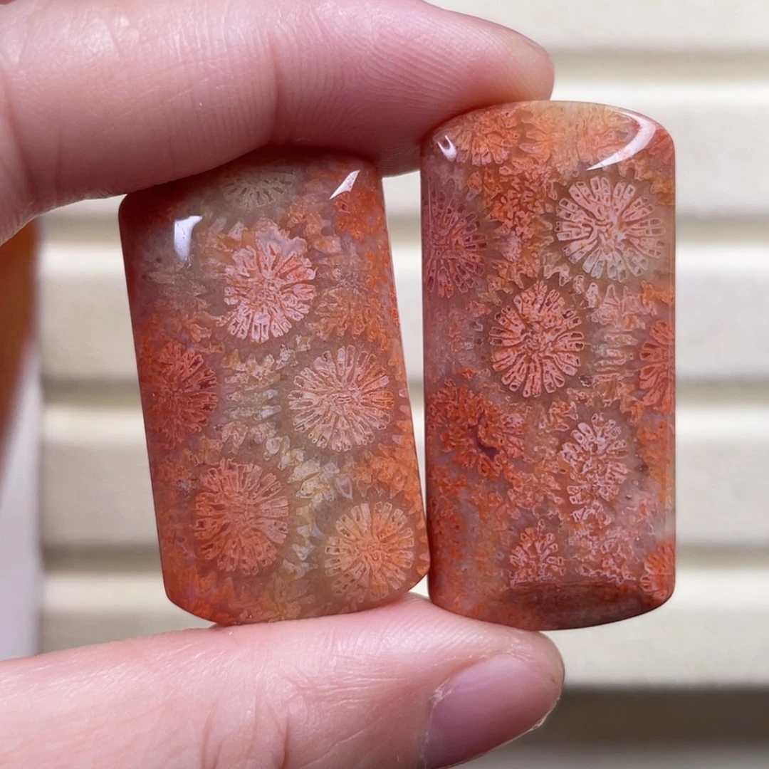 【闪购商品】硅化玉手镯未镶嵌