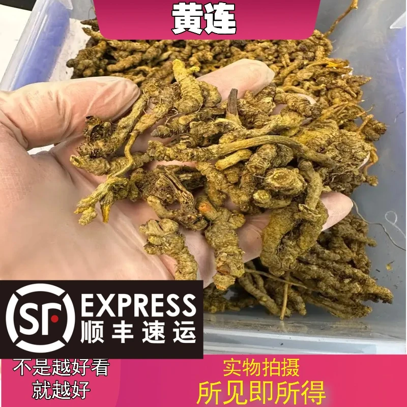 黄连成都中药材批发别名:云连、雅连、川连、味连、鸡爪
