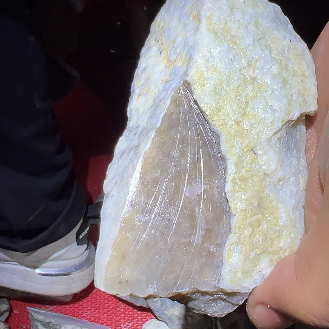 和田玉（糖玉）未镶嵌车挂