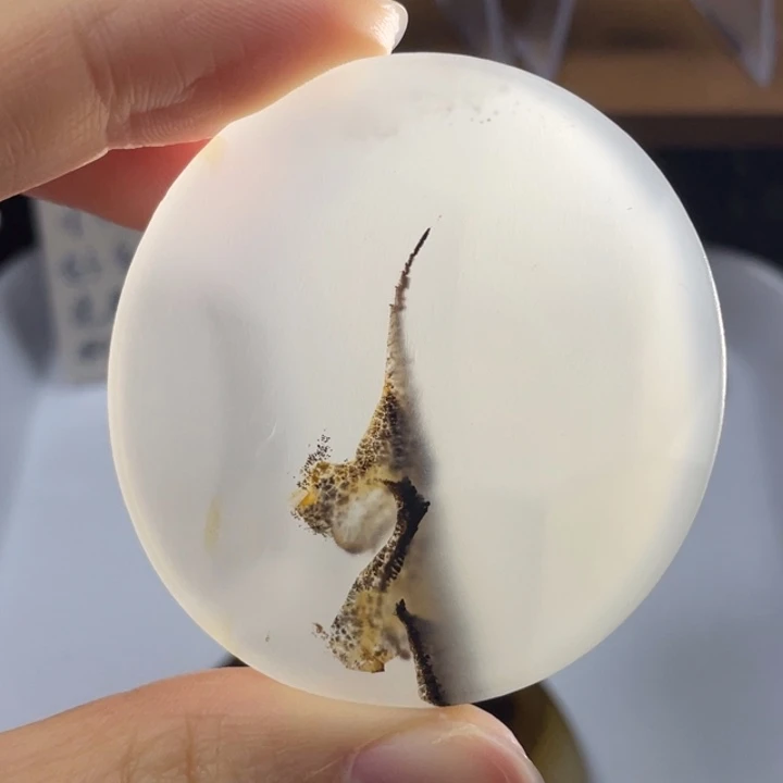 玛瑙/玉髓未镶嵌牌子