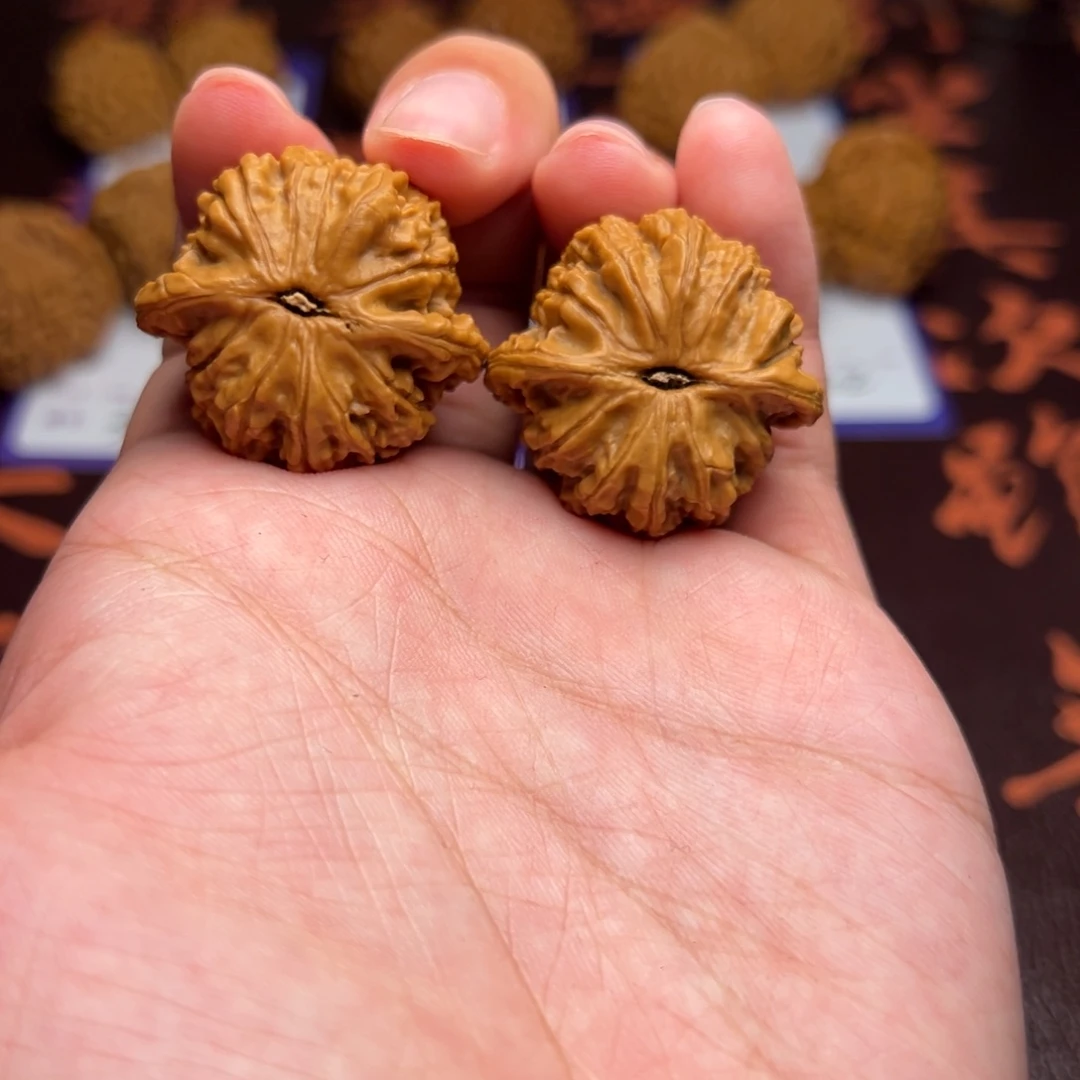 文玩核桃把件红豆309