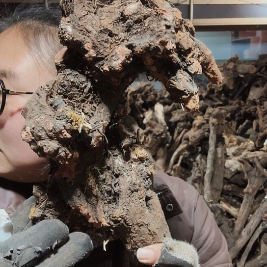 香榧木国*火琉璃的毛料摆件