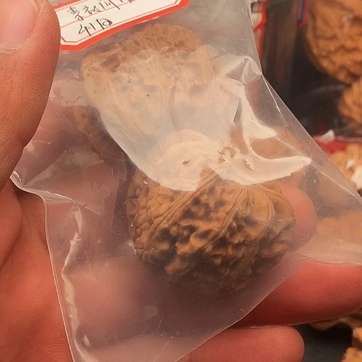 素***酒把件文玩核桃白狮子41