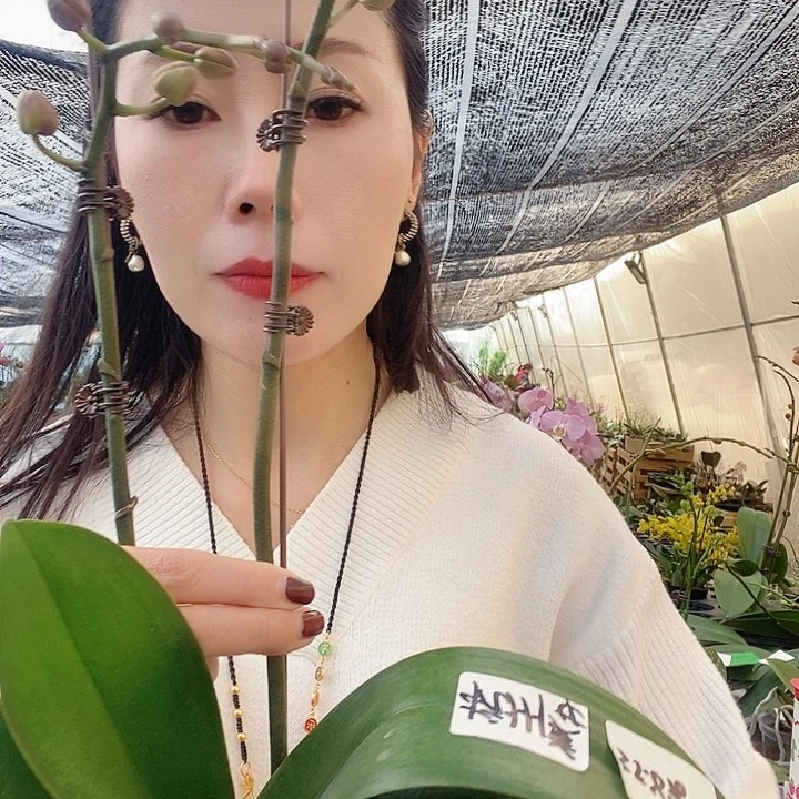 无花朵杭州美女蝴蝶兰