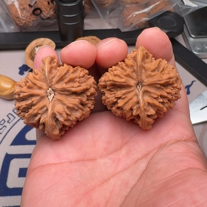 把件桃核山地满天星42+尺31