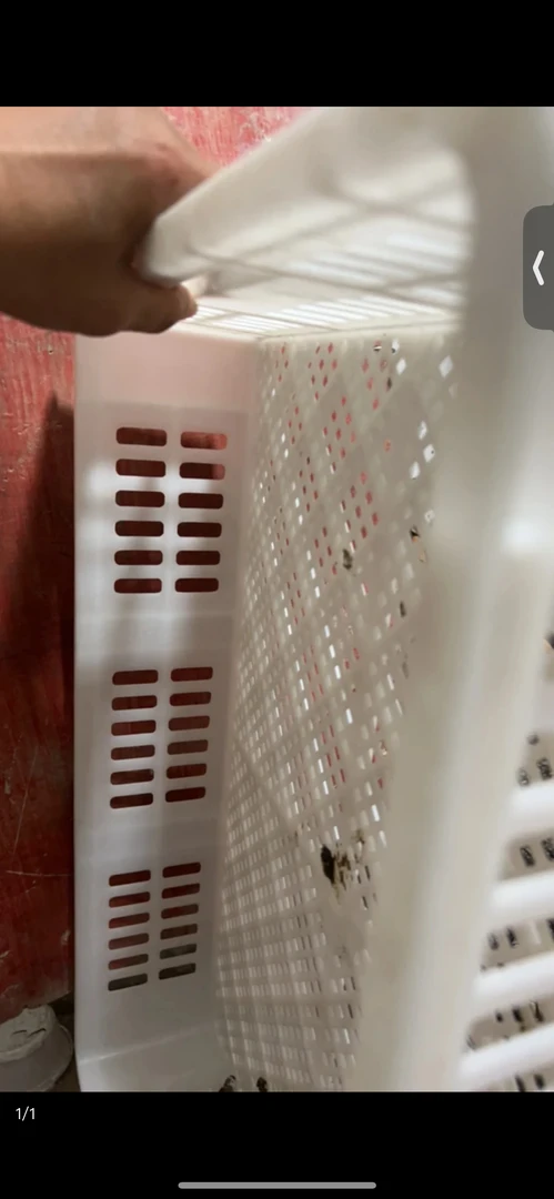 活禽运输筐顺丰包邮