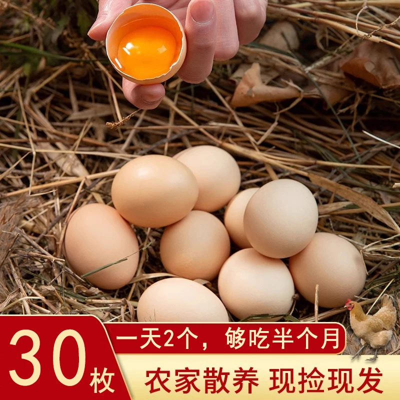 正宗散养土鸡蛋30枚当日捡当日发新鲜健康初生蛋林间虫草蛋