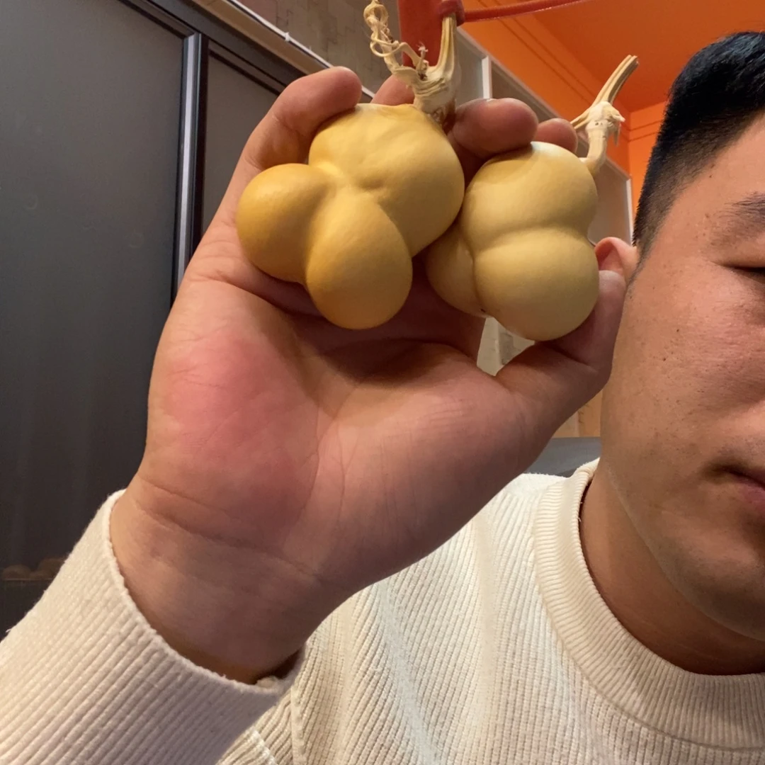 木***南金蝉放漏闪电购服务区