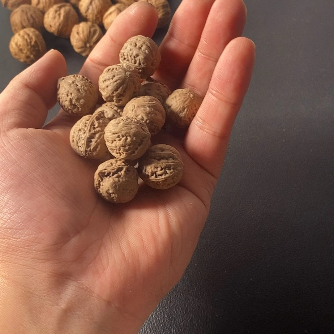 繁***天核桃手串/手链福利5