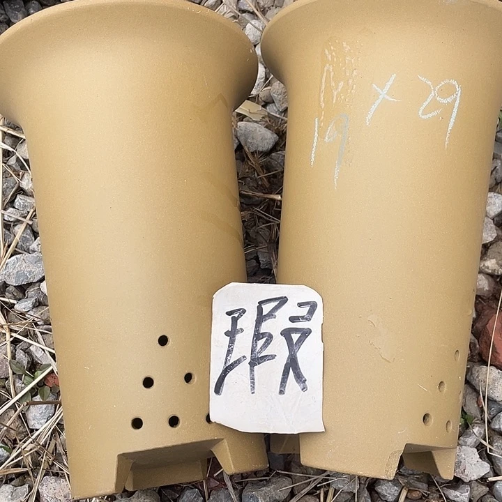 紫砂花盆我也不知道我在想什么了我