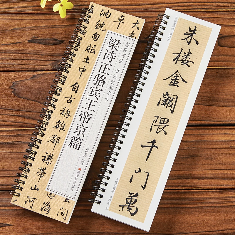 梁诗正骆宾王帝京篇 经典碑帖书法近距离临摹字卡 原大全文附简体