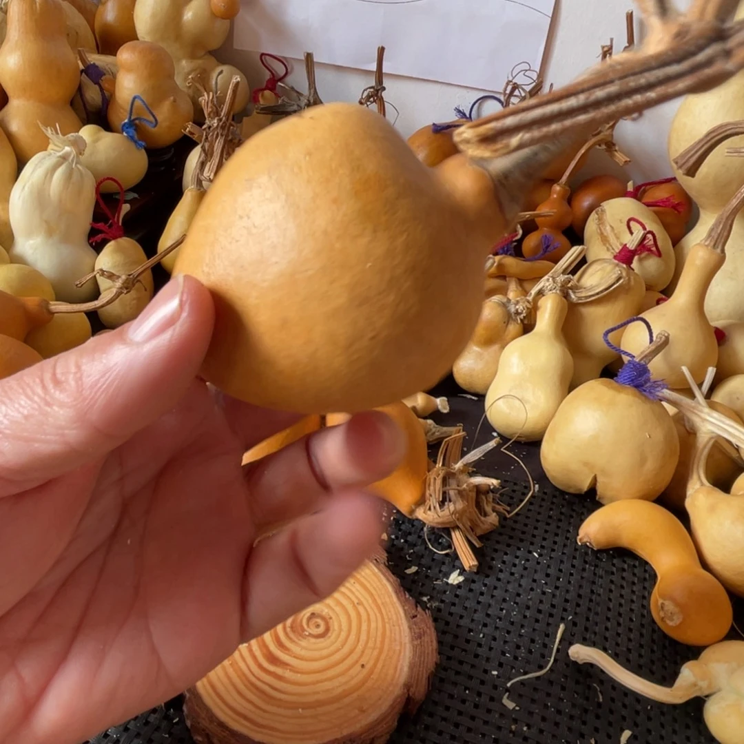 无***宝葫芦葫哈哈哈哈哈哈