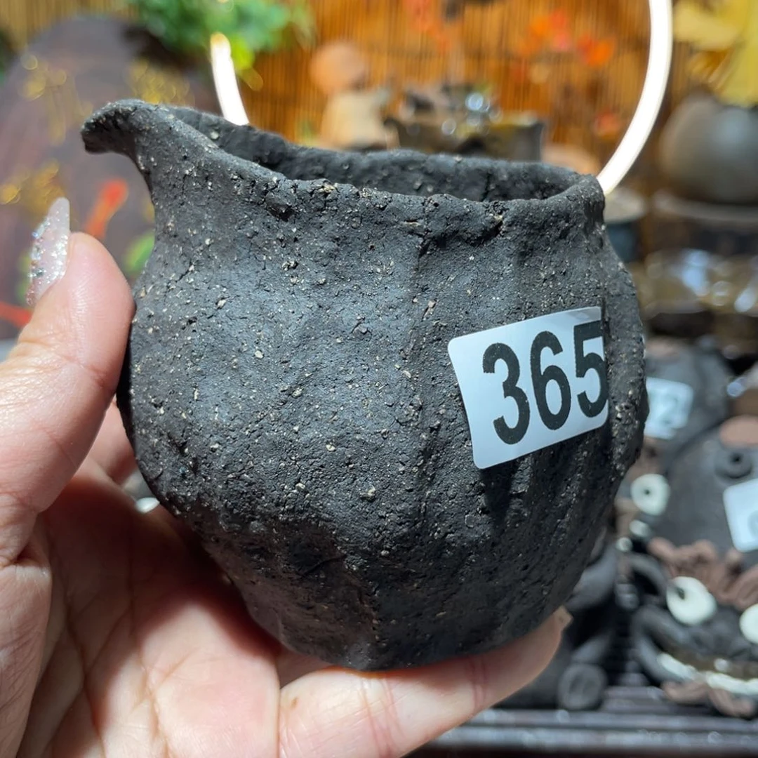 木村信弘柴烧保平