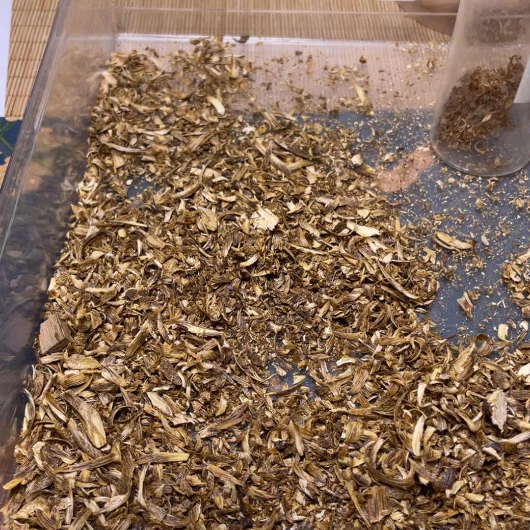 香榧木海南金丝绿棋楠勾丝10g