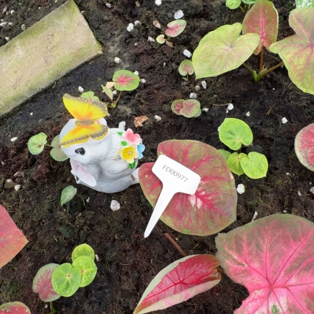 爆***兔无花朵复古海王寄养00977