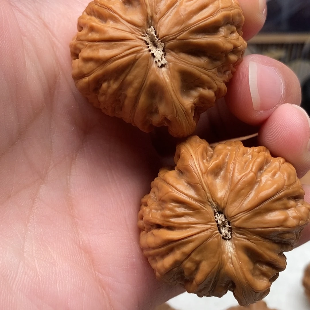 勇***者42加尺寸精修打底