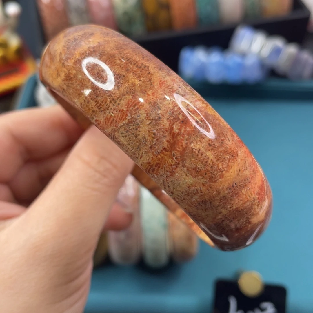 未镶嵌手镯硅化玉