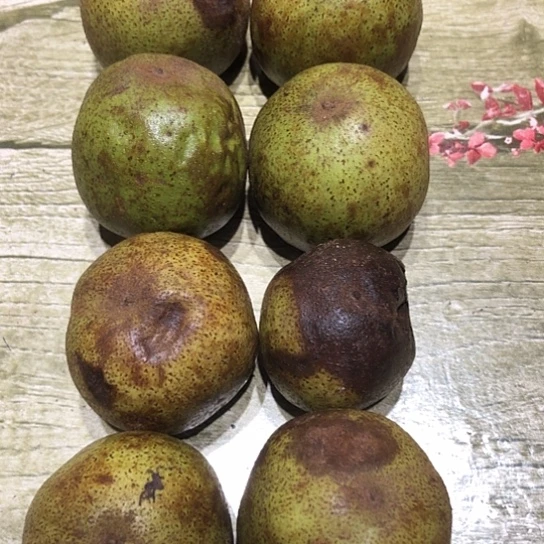 吊坠桃核核桃核桃