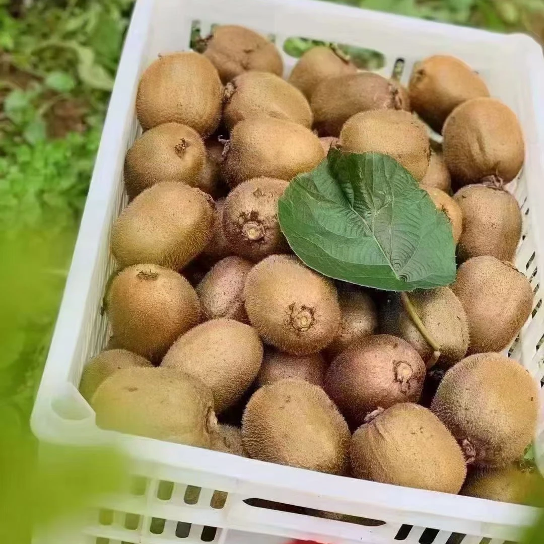绿心猕猴桃新鲜现摘香甜多汁应季水果皮薄肉厚维C丰富