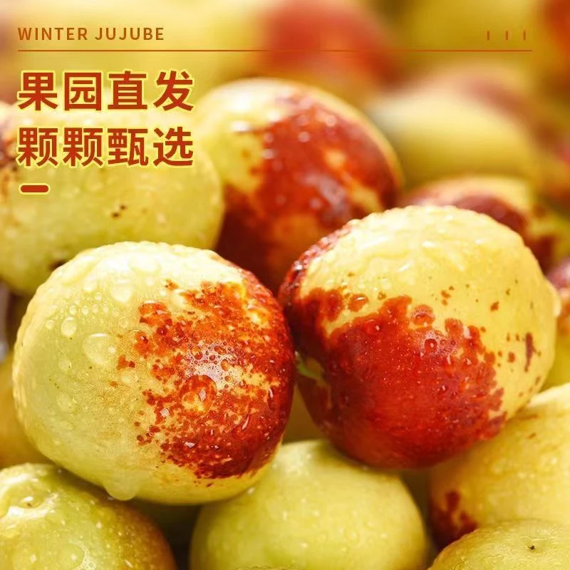 正宗新鲜冬枣产地直发现摘现发当季新鲜脆甜多汁水果