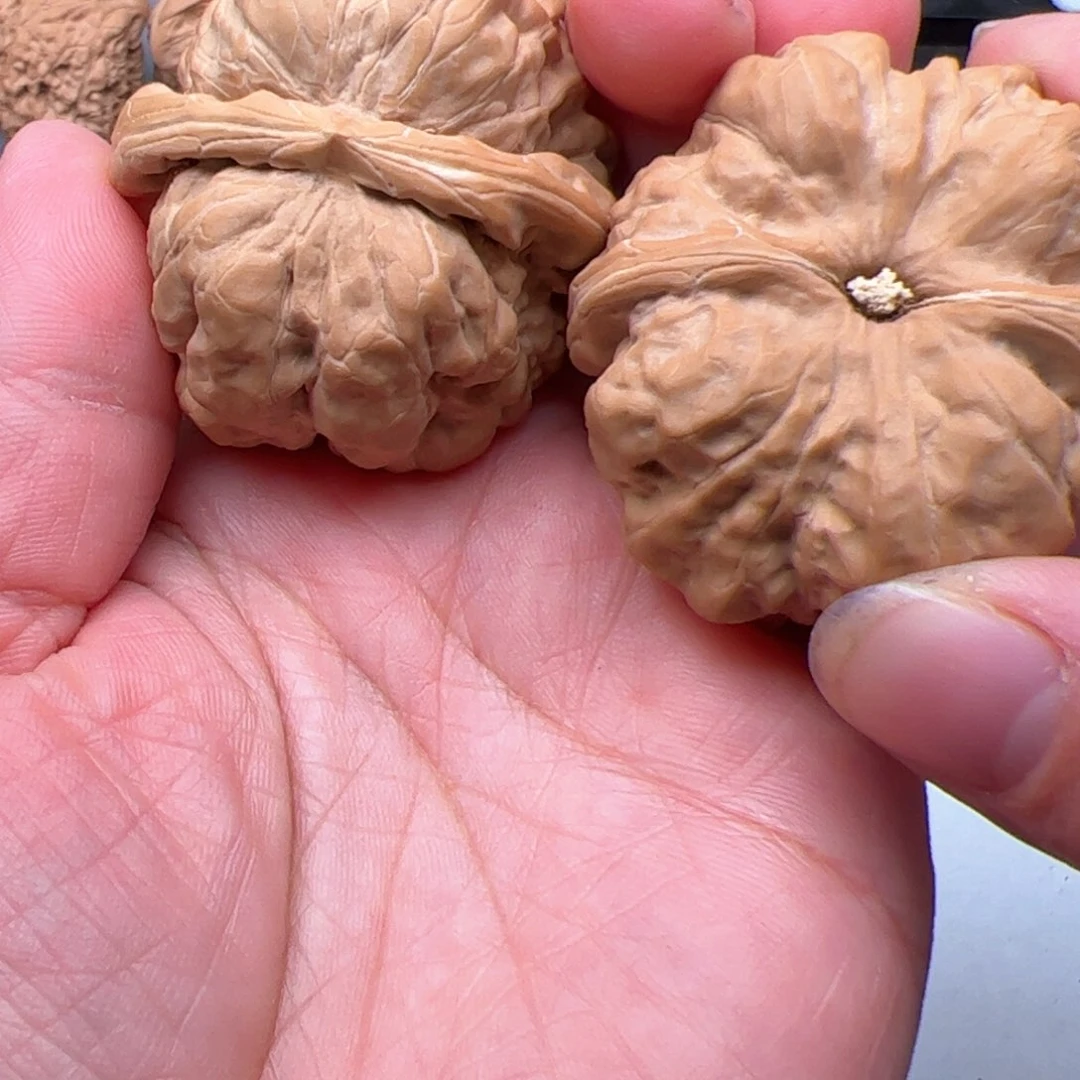 文玩核桃把件财****子蛤蟆头红