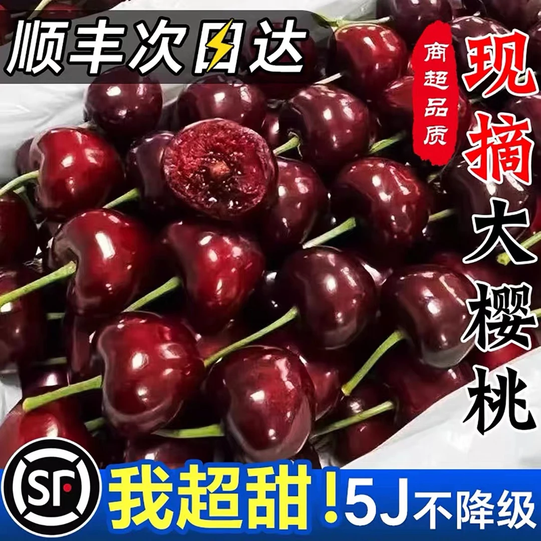 甘肃天水套袋美早大樱桃新鲜孕妇水果产地现摘现发黑珍珠车厘子