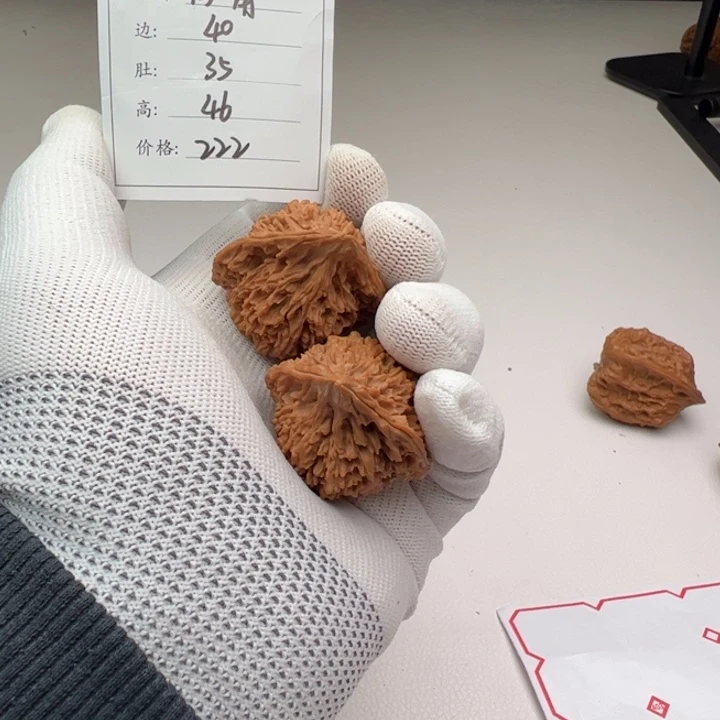 文玩核桃把件蓝*颜鸭嘴磕尖625