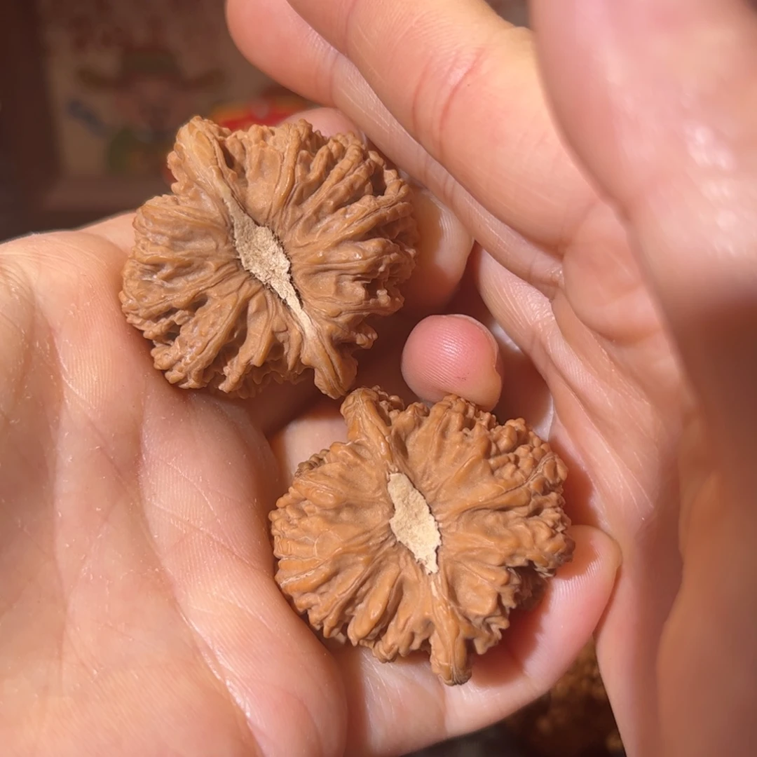 核桃文玩密纹红宝石