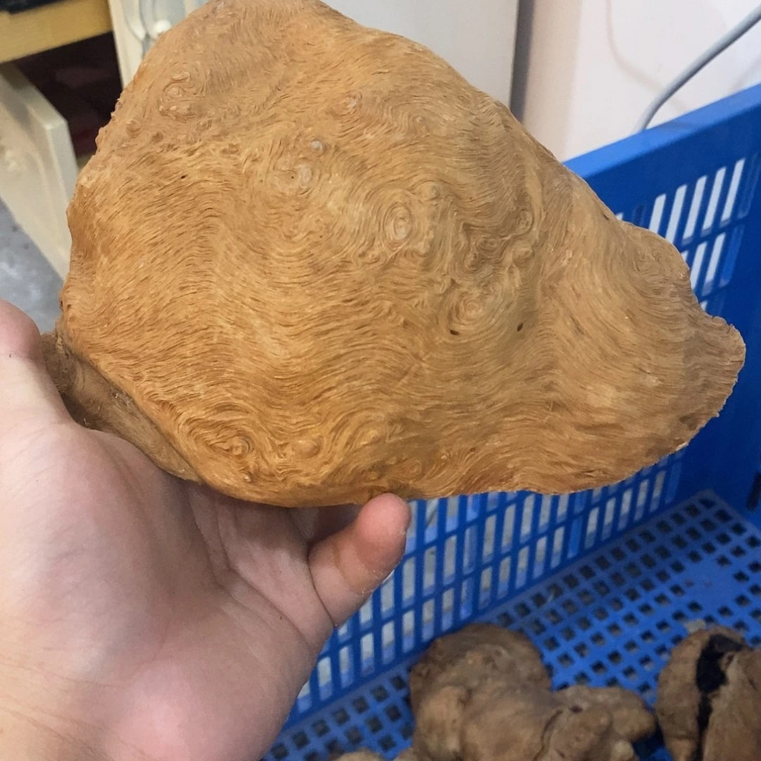 安***静荔枝木荔枝木原料