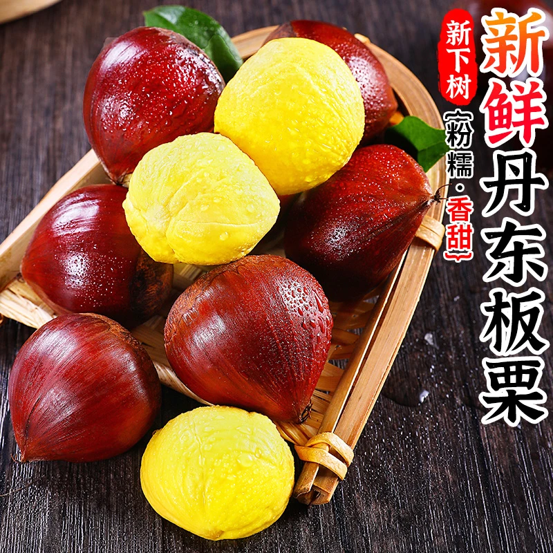 【粉糯香甜】新鲜丹东板栗3-5斤毛栗子生板栗嫩板栗带壳锥栗难剥皮