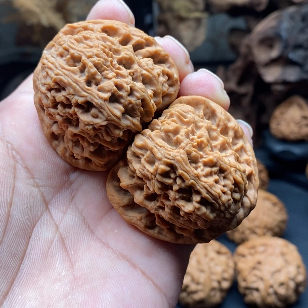 核桃44全品无修南疆石